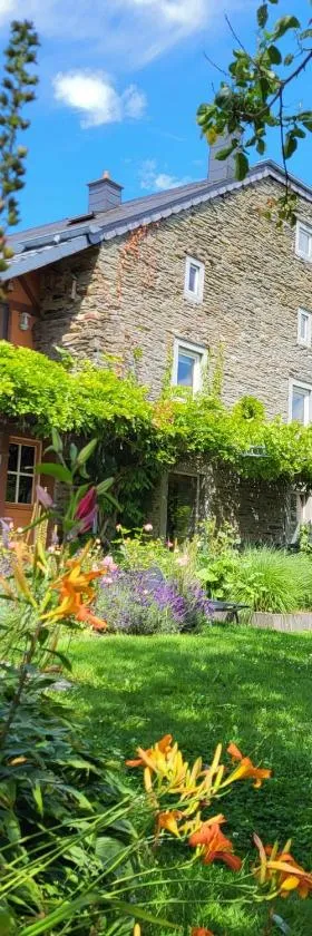 La Vieille Forge B&B，位于胡法利兹的酒店