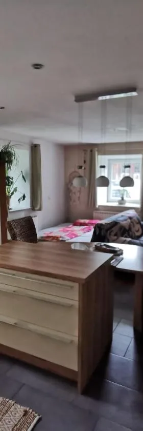Ferienwohnung in Grünbach bei Freistadt，位于Grünbach的酒店