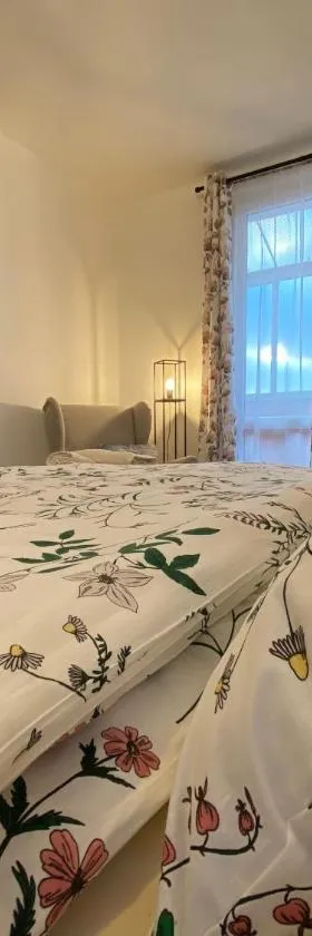 Apartmán Vráž u Písku，位于皮塞克的酒店