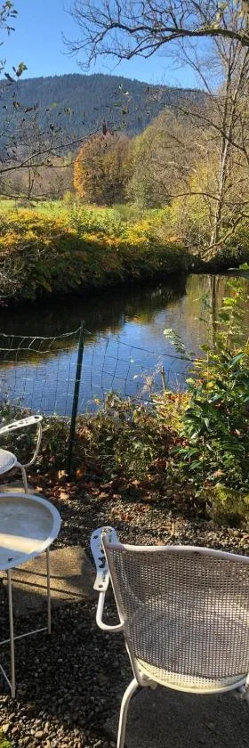 Côté Rive, au bord de la rivière La Moselotte et terrasse，位于Saulxures-sur-Moselotte的酒店