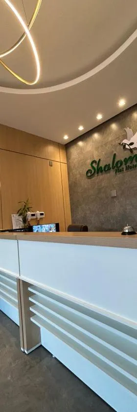 Shalom Flat Hotel，位于帕拉迪米纳斯的酒店