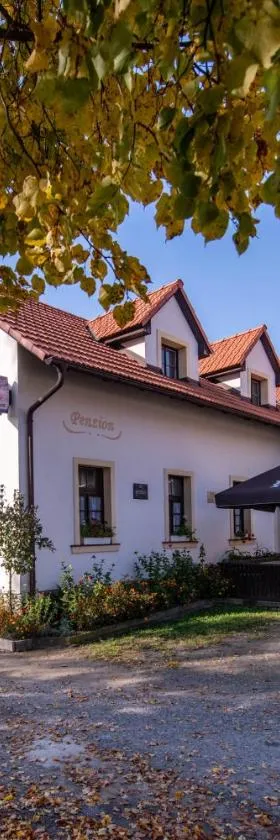 Penzion Stříbrná Lhota，位于布尔迪山下慕尼雪克的酒店