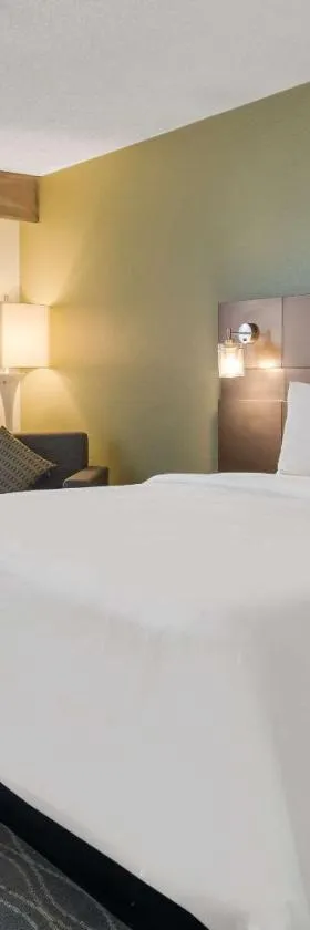 Radisson Hotel Grand Rapids Riverfront，位于大急流城的酒店