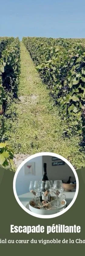 Gîte familial dans le vignoble champenois，位于Cuchery的酒店