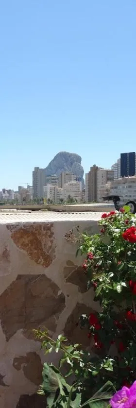 Hotel CALPE，位于卡尔佩的酒店