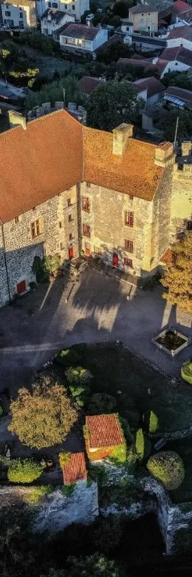 Château royal de Saint-Saturnin，位于圣萨蒂南的酒店