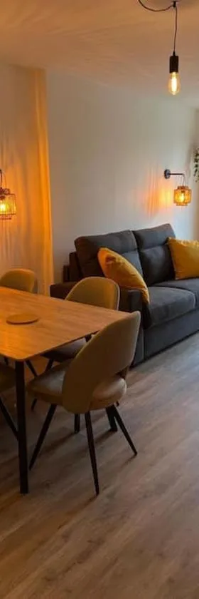 Beaune Levernois, appartement 1 chambre canapé lit，位于勒韦尔努瓦的酒店