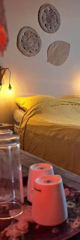 chambre cosy en centre ville avec accès indépendant，位于沙泰勒罗的酒店