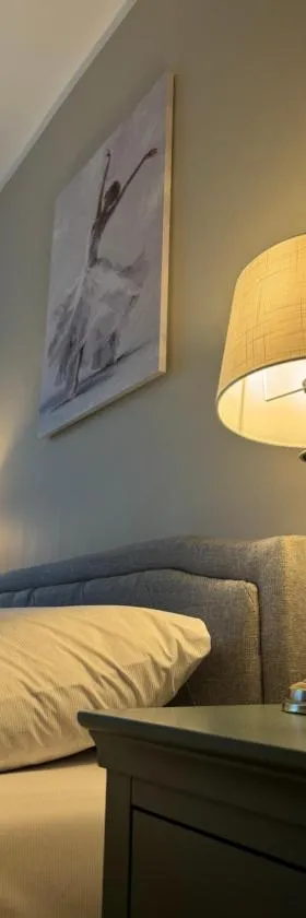 Jaukus apartamentas Birzu centre，位于比尔扎伊的酒店