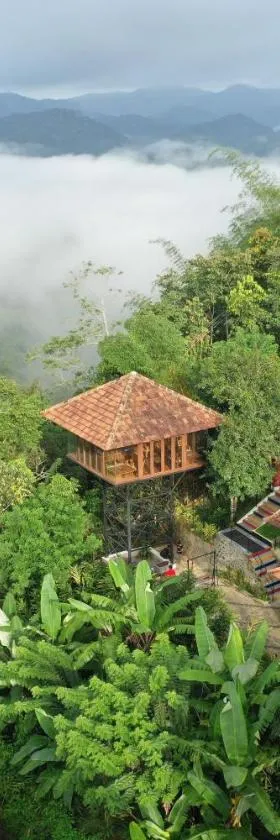 Spice Forest Plantation Homestay, Thekkady，位于Vandiperiyār的酒店