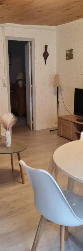 appartement centre ville，位于萨勒布里的酒店