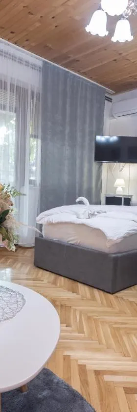 Studio apartman Ivana，位于Gradište的酒店
