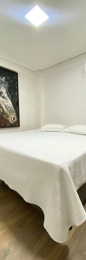 Hotel Zagonel，位于沙佩科的酒店