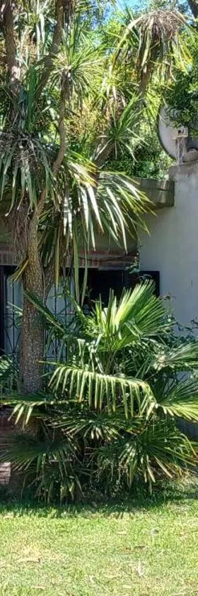 Cabaña LAS PALMAS，位于圣克拉拉德尔马尔的酒店