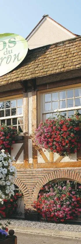Logis Hôtel le Clos du Vigneron，位于Ousson-sur-Loire的酒店