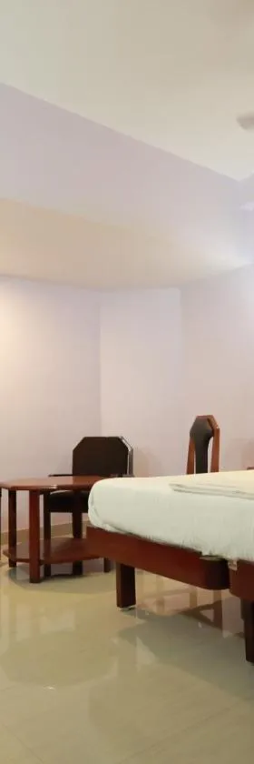 Hotel Blue Residency，位于纳盖科伊尔的酒店