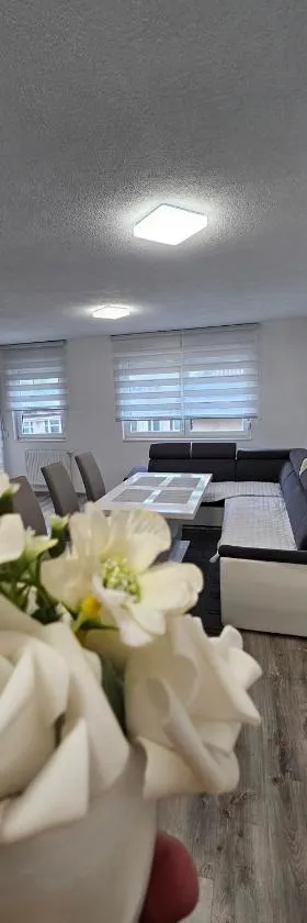 Apartman Mima，位于Sanski most的酒店