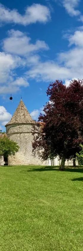Chambres d'hôtes au Château de Gandillac，位于Saint-Martial-Viveyrol的酒店
