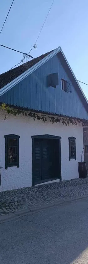 Vinska kuća na vinskoj cesti Zmajevac，位于Zmajevac的酒店