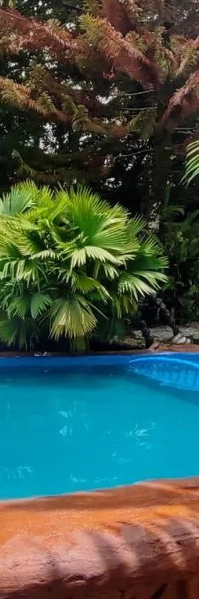 Hotel La Casona - San Luis，位于San Luis的酒店