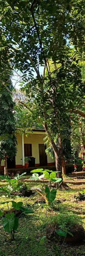 Holy Spirit Hostel Ometepe，位于Santa Cruz的酒店