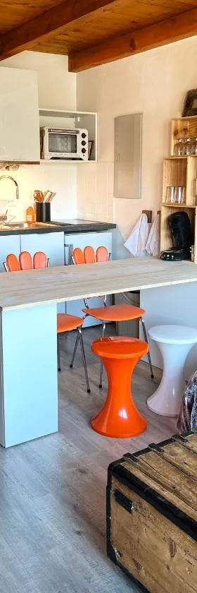 Appartement Crest Voland - Aux pieds des pistes，位于克雷斯特沃朗的酒店