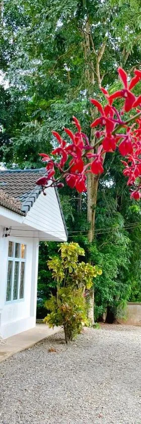 Silpasom ARTstay，位于Ban Takuk Nua的酒店