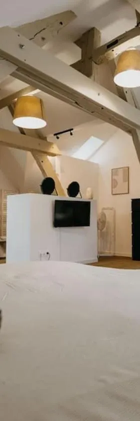 Loft lumineux ! wifi à 20min de Rennes，位于班德布雷塔尼的酒店