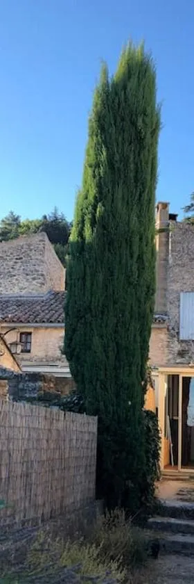 Les petits cyprès，位于博尼约的酒店