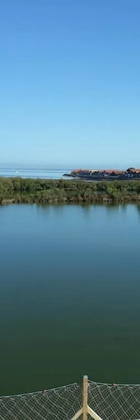 AIMI-AQUO gîte, Bassin d'Arcachon Sud，位于居让梅斯特拉的酒店