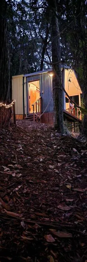 ZEN House Tiny house by the lake，位于Narara的酒店