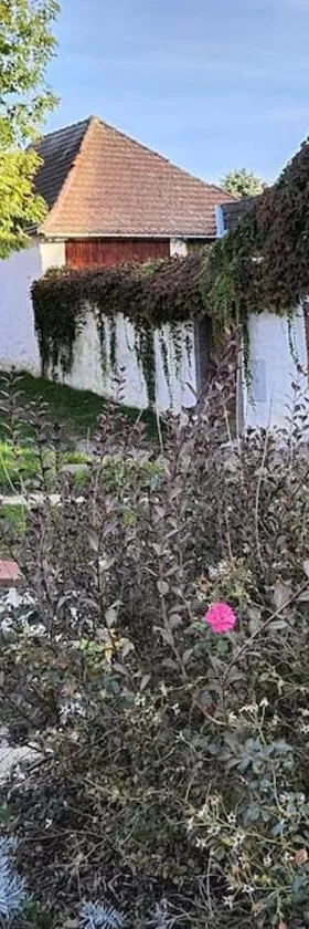 Chaloupka u Mostu sv Jana v centru Vodňan，位于Vodňany的酒店