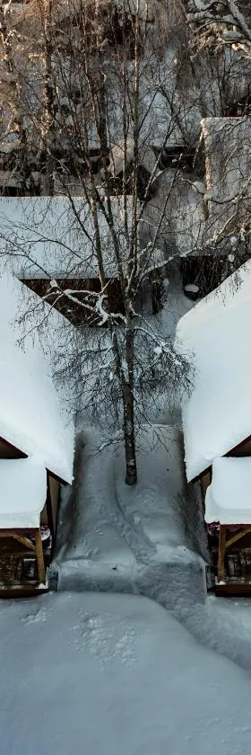 Downtown Talkeetna Cabin! Chulitna Cabin，位于塔尔基特纳的酒店