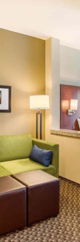 Comfort Suites Burlington near I-5，位于伯灵顿的酒店