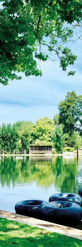 Fonty's Pool Caravan Park and Chalets，位于曼吉马普的酒店