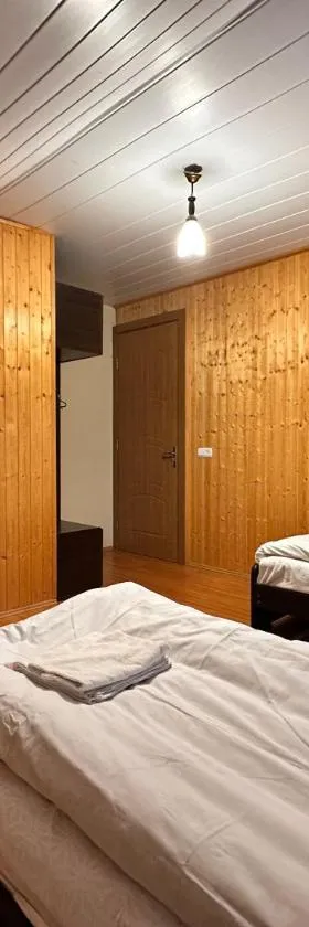 Family Hotel Parnas 2250，位于古多里的酒店