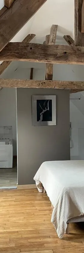 Gite balnéo，位于Lailly-en-Val的酒店