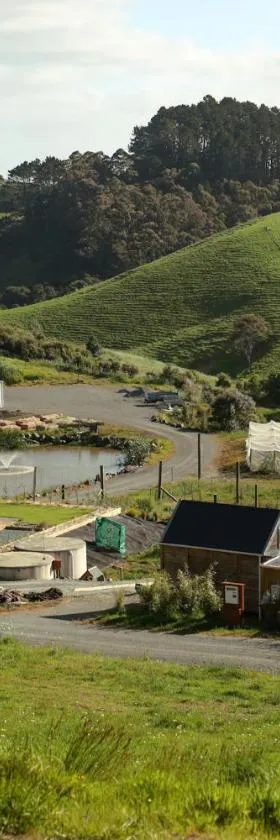 Kauri Ora Farmstay，位于Puhoi的酒店