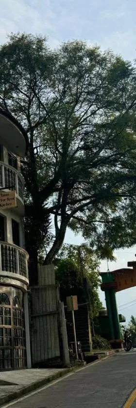 Hotel Luna，位于圣马科斯拉拉古纳的酒店