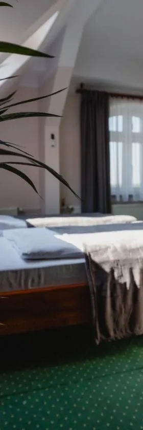 Hotel Aslan，位于塔尔诺夫斯凯古雷的酒店