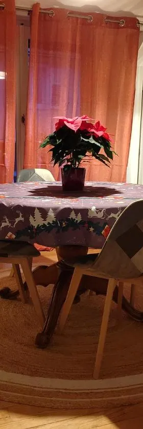 Le Nid - Appartement avec extérieur，位于Epfig的酒店