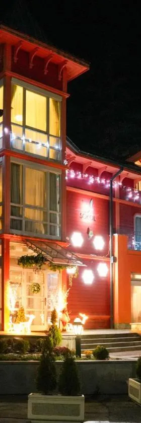 Villa Sokol，位于波罗维茨的酒店