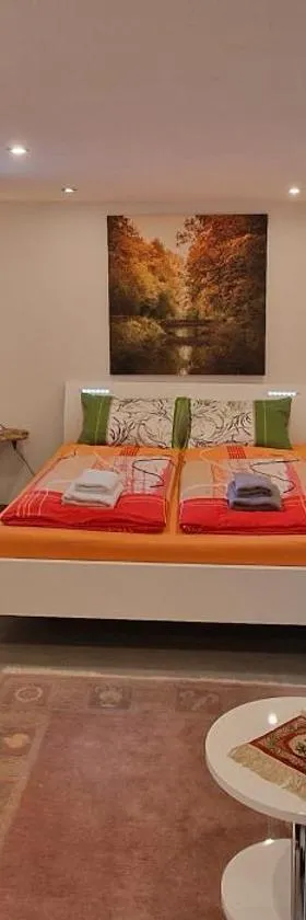 Mornag AG Studio Room，位于韦森的酒店