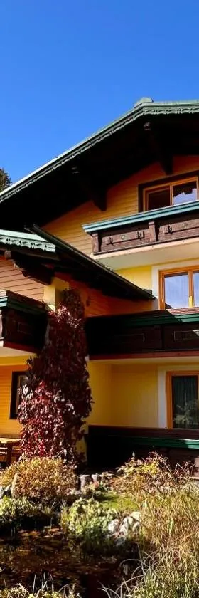 Pension Edelweiß Mitterberg，位于Mitterberg的酒店