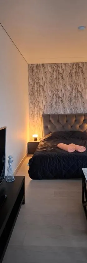 Žemaičių g apartamentai，位于克雷廷加的酒店
