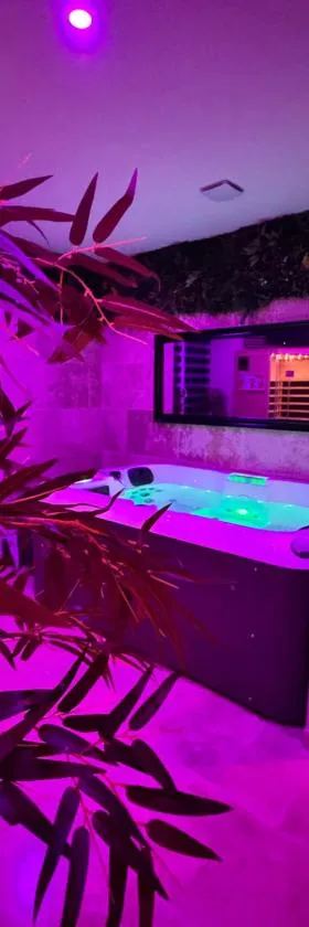Le boudoir suite&spa，位于Malissard的酒店