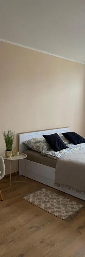 City Lights Apartment，位于巴尔利内克的酒店