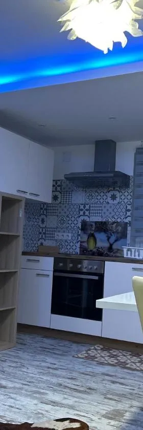 Appart Chez willi，位于Niederschaeffolsheim的酒店