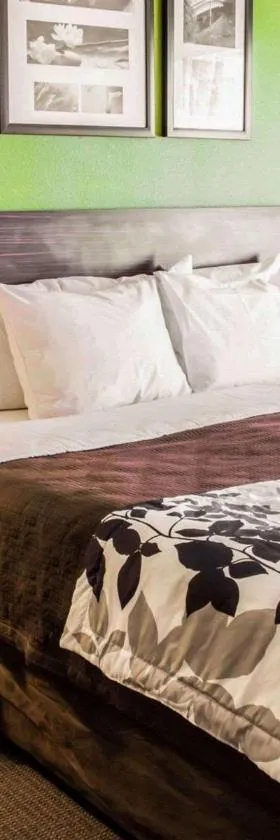 Sleep Inn & Suites Virginia Horse Center，位于列克星敦的酒店