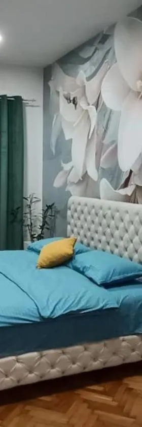 Venera Lux Apartman，位于Zemun的酒店
